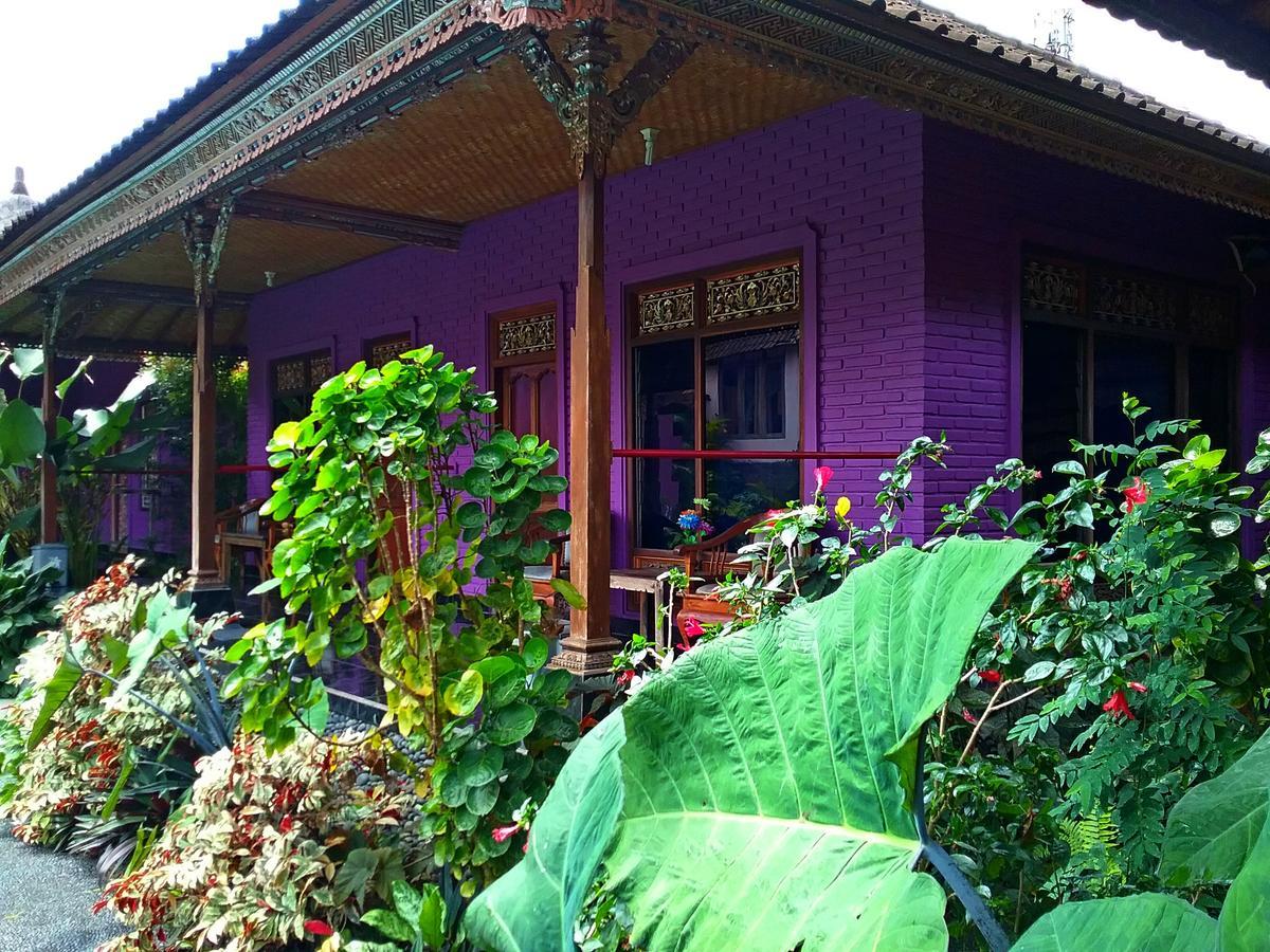 Rona Accommodation Ubud Esterno foto